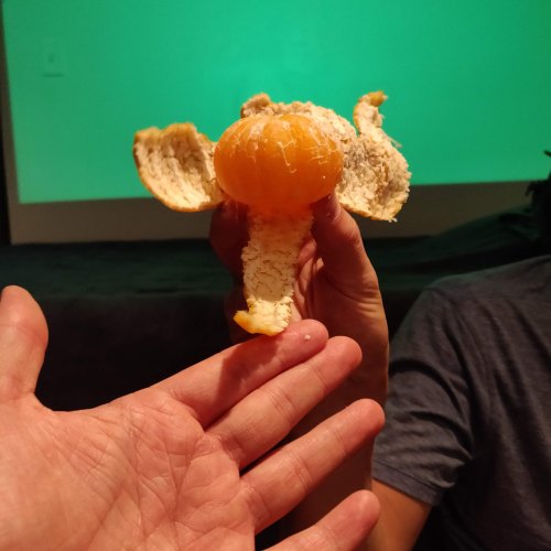 Elephant Orange.jpg
